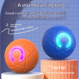 Smart Self-Rolling Ball Cat Toy — Bite-Resistant Boredom Relief