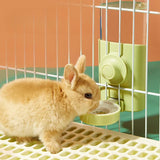 500ml Automatic Water Bottle — Silent Waterer for Rabbits & Small Pets
