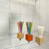 Rainbow Wooden Chew Stick — Perch Toy for Parrots