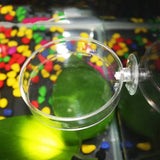 Acrylic Aquarium Shrimp Feeding Bowl & Fish Feeder Dish