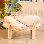 Elevated Wooden Cat Bed with Cushion for Cats & Small Dogs