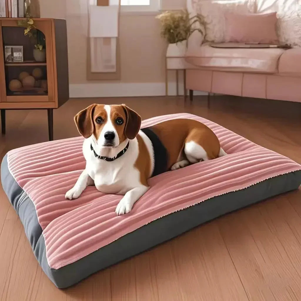 Corduroy Orthopedic Dog Bed for Large Dogs