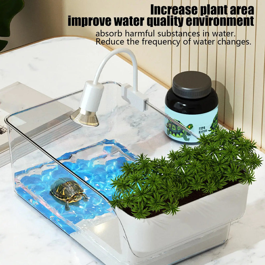 Compact Transparent Turtle Tank — Basking Habitat with Climbing Spot