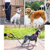 Adjustable Dog Harness & 150cm Leash Set — Reflective Design