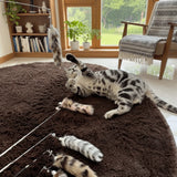 Extra-Long Telescopic Cat Wand with Faux Tail Lure — Flexible Interactive Toy