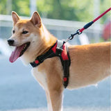 Adjustable Dog Harness & 150cm Leash Set — Reflective Design