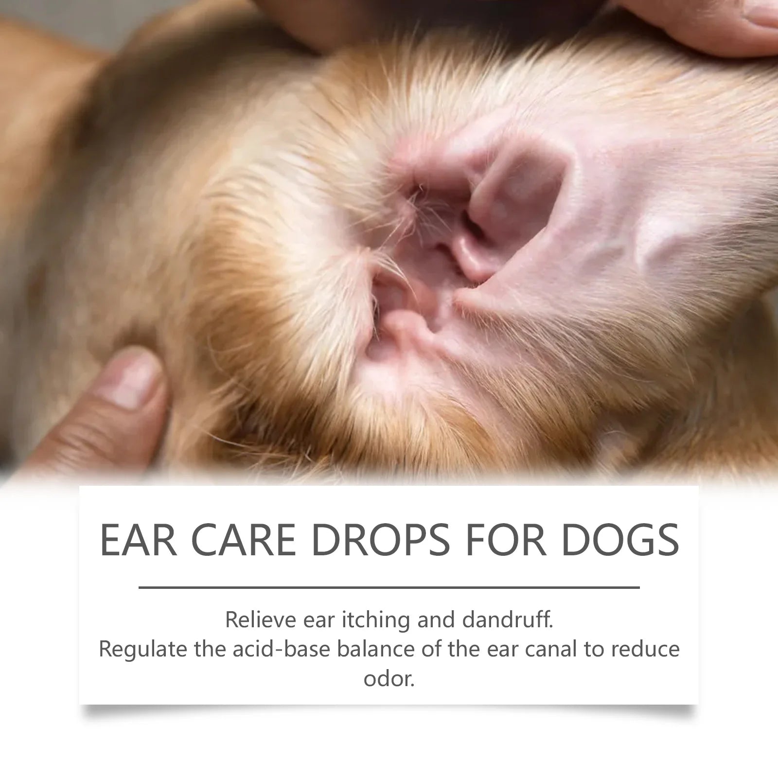 Pet Ear Cleaning Solution — Soothing Wash for Mites, Itching & Odor