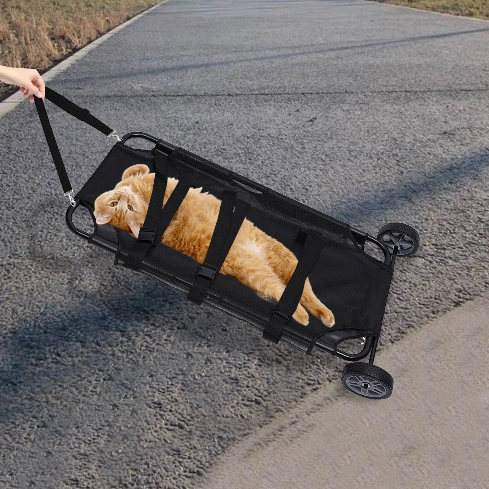 Foldable Pet Stretcher for Veterinary Transport (50kg Capacity)