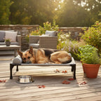 Elevated All-Season Pet Cot with Pillow Support