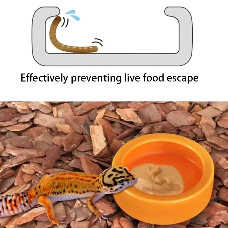 Ceramic Reptile Feeder Bowl — Decorative Food & Water Dish