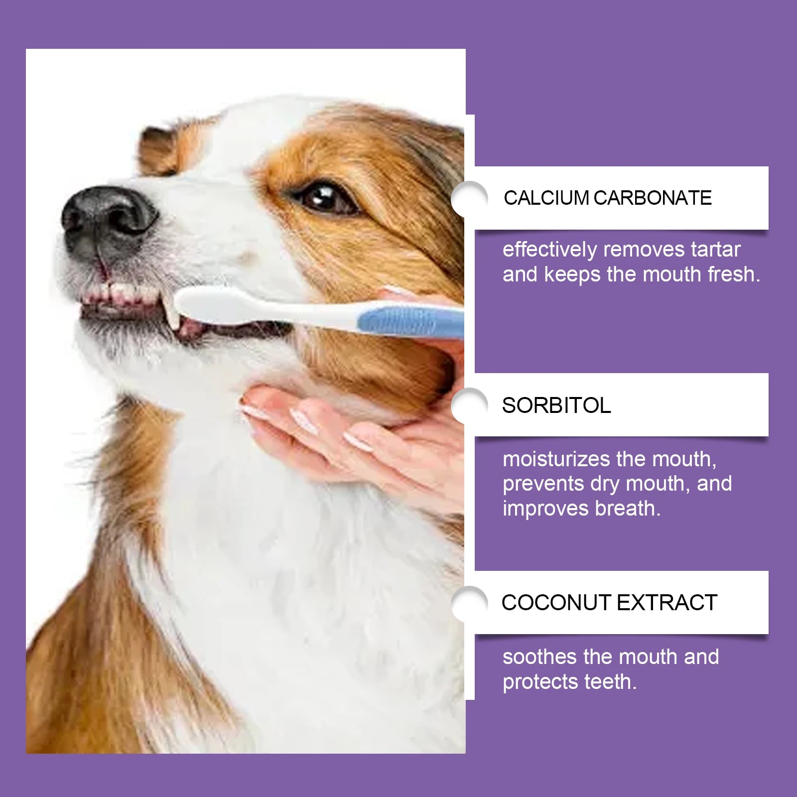 Probiotic Pet Toothpaste — Fights Plaque & Freshens Breath Naturally
