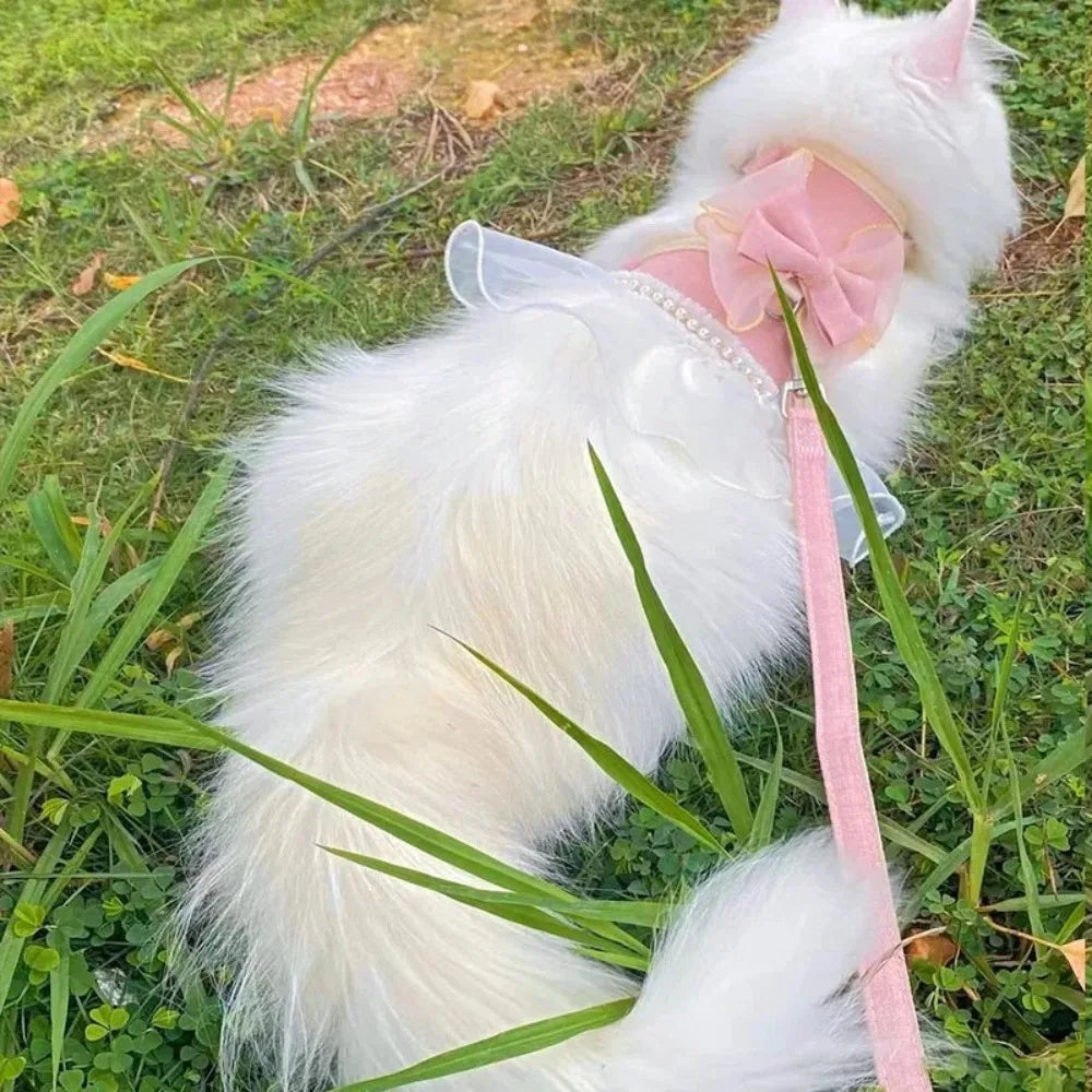Princess-Style Cat Harness & Leash Set