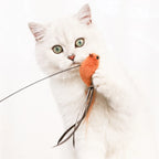 Bird Feather Cat Teaser Wand — Suction-Mount, Flexible Steel Wire