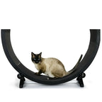 Silent Cat Treadmill & Exercise Wheel