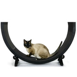 Silent Cat Treadmill & Exercise Wheel