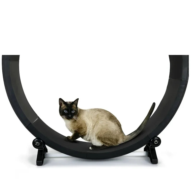 Silent Cat Treadmill & Exercise Wheel