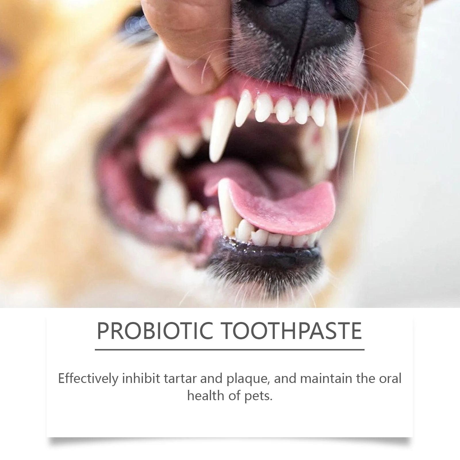 Probiotic Pet Toothpaste — Fights Plaque & Freshens Breath Naturally