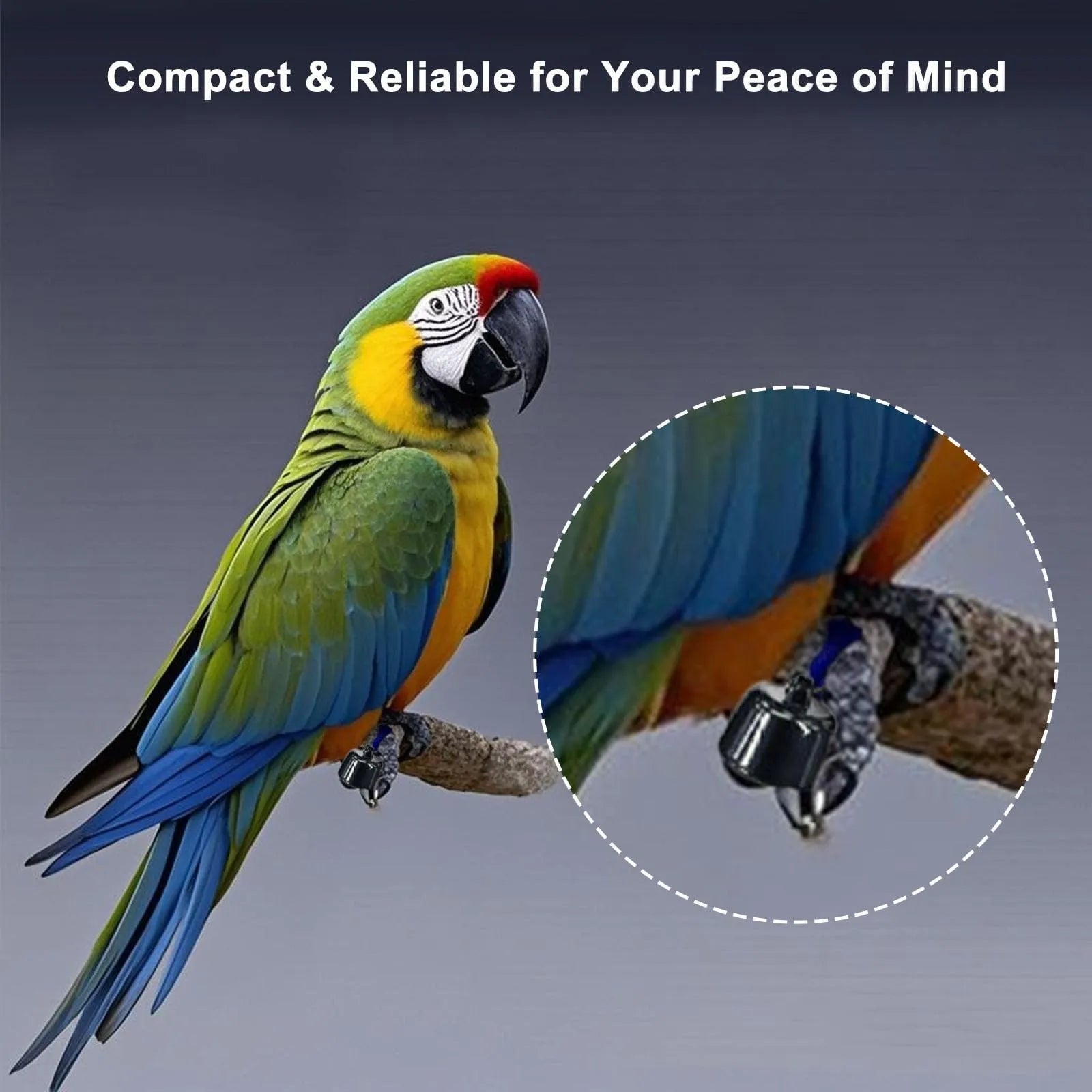 Waterproof Real-Time GPS Tracker for Dogs, Cats & Pet Birds - Global Positioning