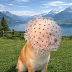 Pet Anti-Mosquito Headgear (Breathable Mesh, Adjustable, Love/Wave Pattern)