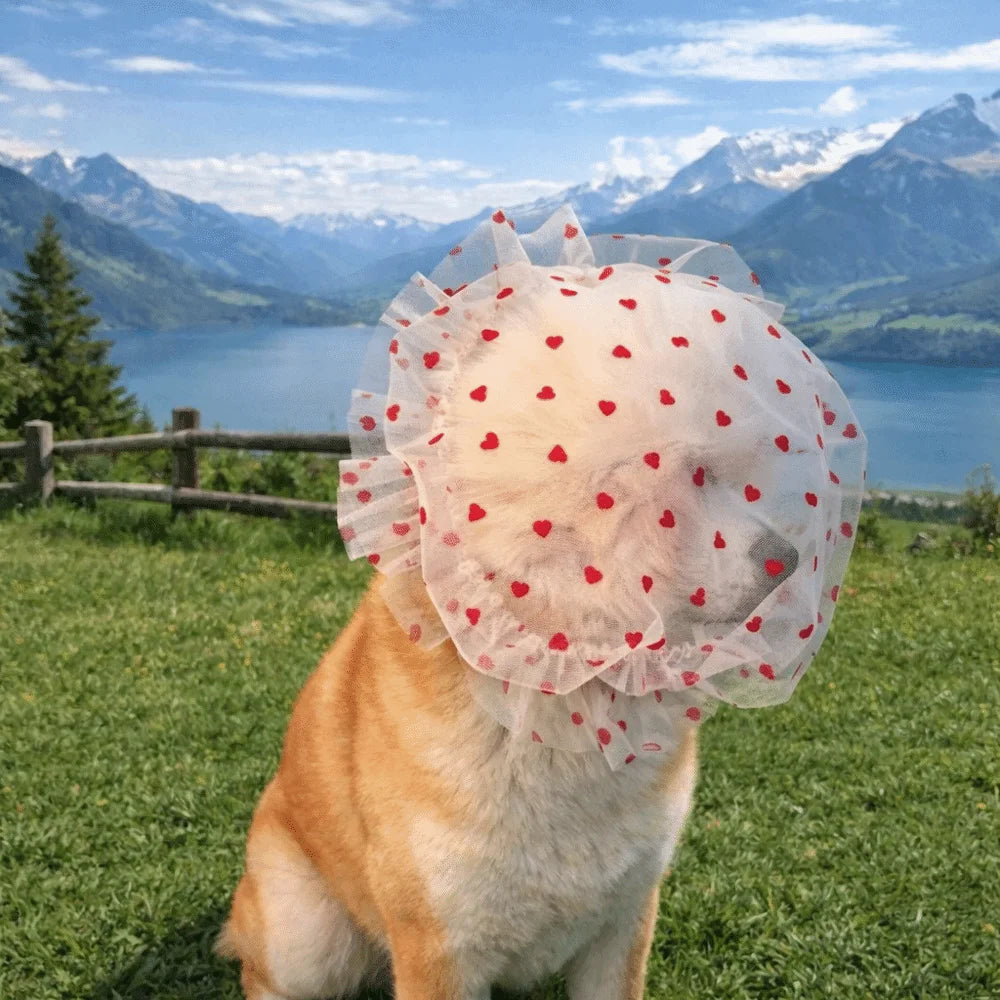 Pet Anti-Mosquito Headgear (Breathable Mesh, Adjustable, Love/Wave Pattern)