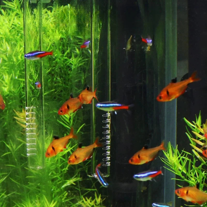 Borosilicate Glass Aquarium Inflow & Outflow Pipe (13/17mm)