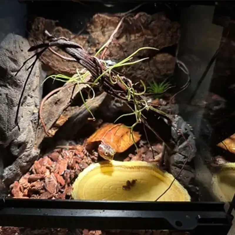 Resin Feeding Tray for Reptiles & Turtles — Odor-Free Food Bowl