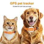 GPS Pet Tracker Collar for Puppies & Kittens - Real-Time Locator