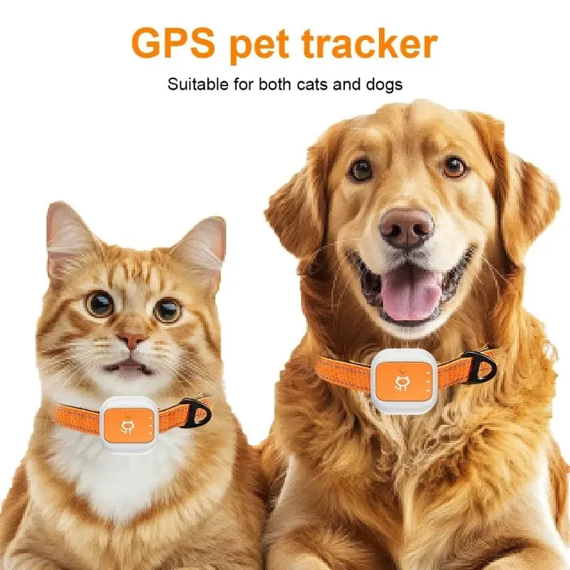 GPS Pet Tracker Collar for Puppies & Kittens - Real-Time Locator