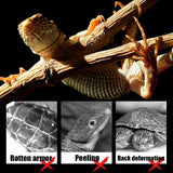 Rotatable Reptile Lamp Holder — Adjustable Basking Fixture for Turtles & Lizards