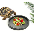 Black Plastic Reptile Feeding & Bath Basin — Round or Hexagon