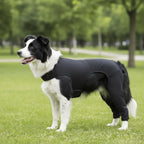 Dog Leg Rehabilitation Suit (Anti-Lick, Breathable, Adjustable)