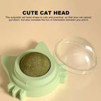 Catnip Ball Cat Treats