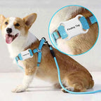Bluetooth GPS Activity Tracker for Dogs, Cats, Kids & Wallet Keychain