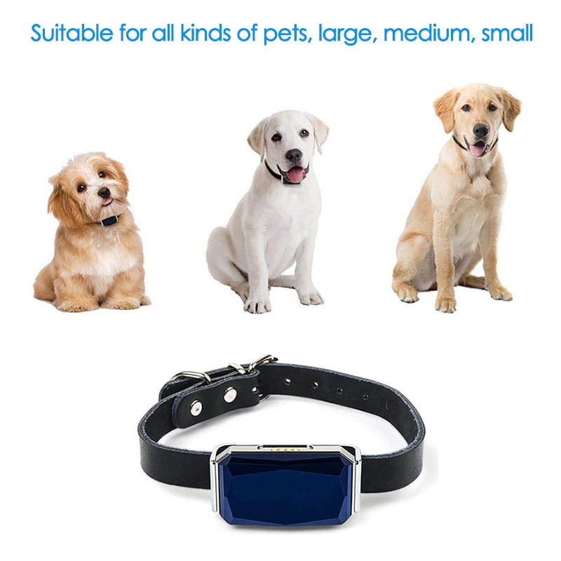 GPS Pet Tracker with Real-Time Call & Remote Control for Dogs & Cats