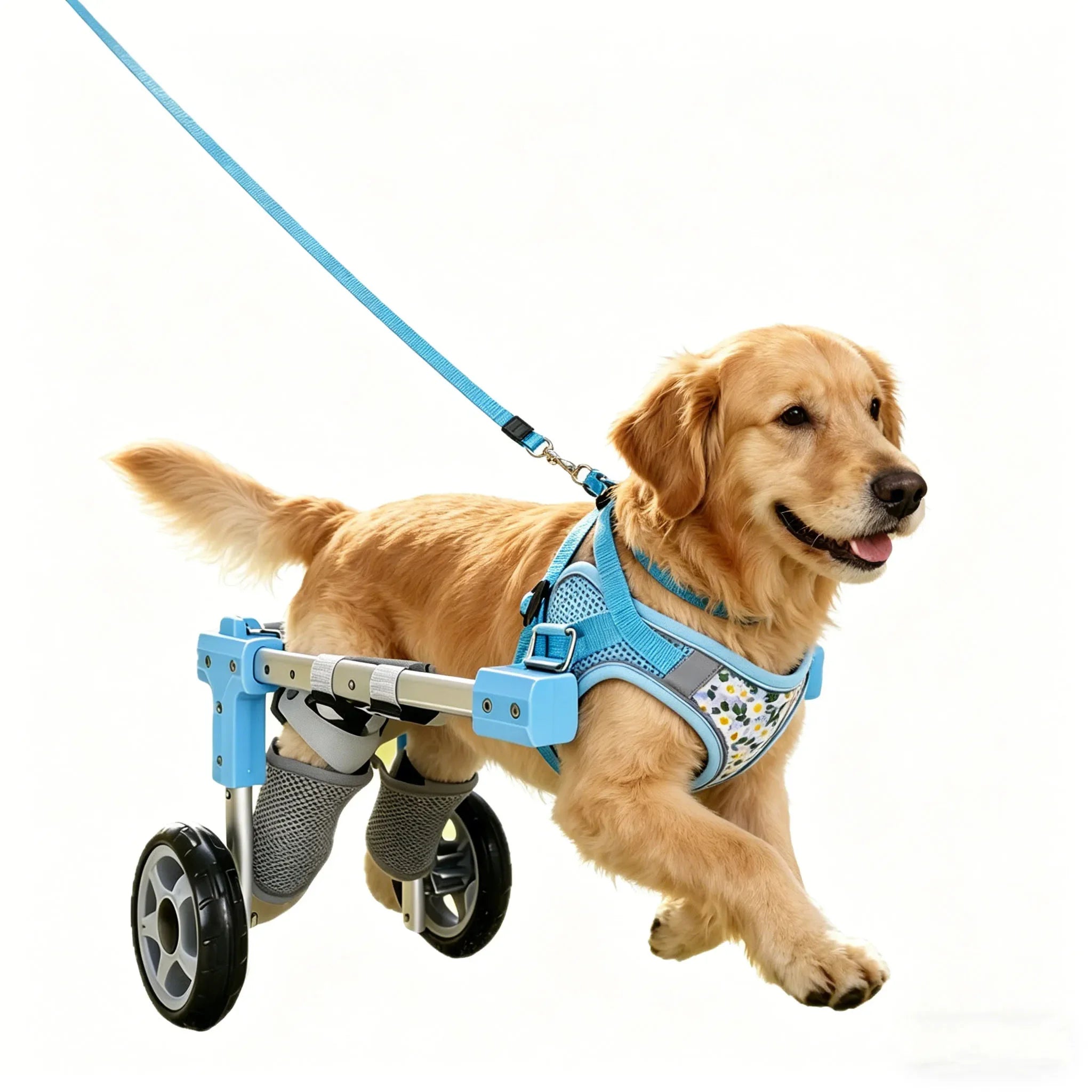 Adjustable Pet Wheelchair Mobility Aid with Wheels for Disabled & Rehabilitating Dogs & Cats