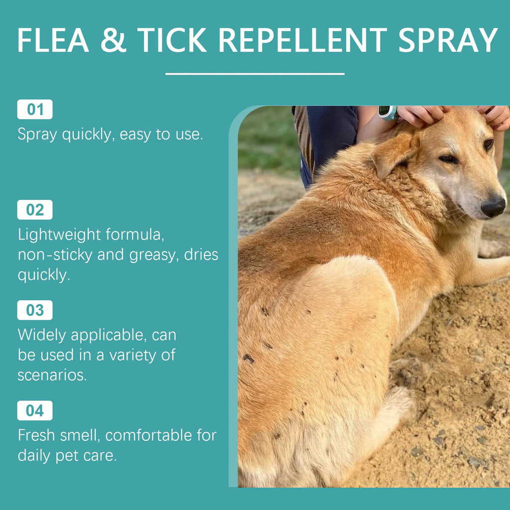 Yegbong Vet-Approved Flea Control Spray — Gentle Daily Use, 50ml
