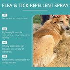 Yegbong Vet-Approved Flea Control Spray — Gentle Daily Use, 50ml