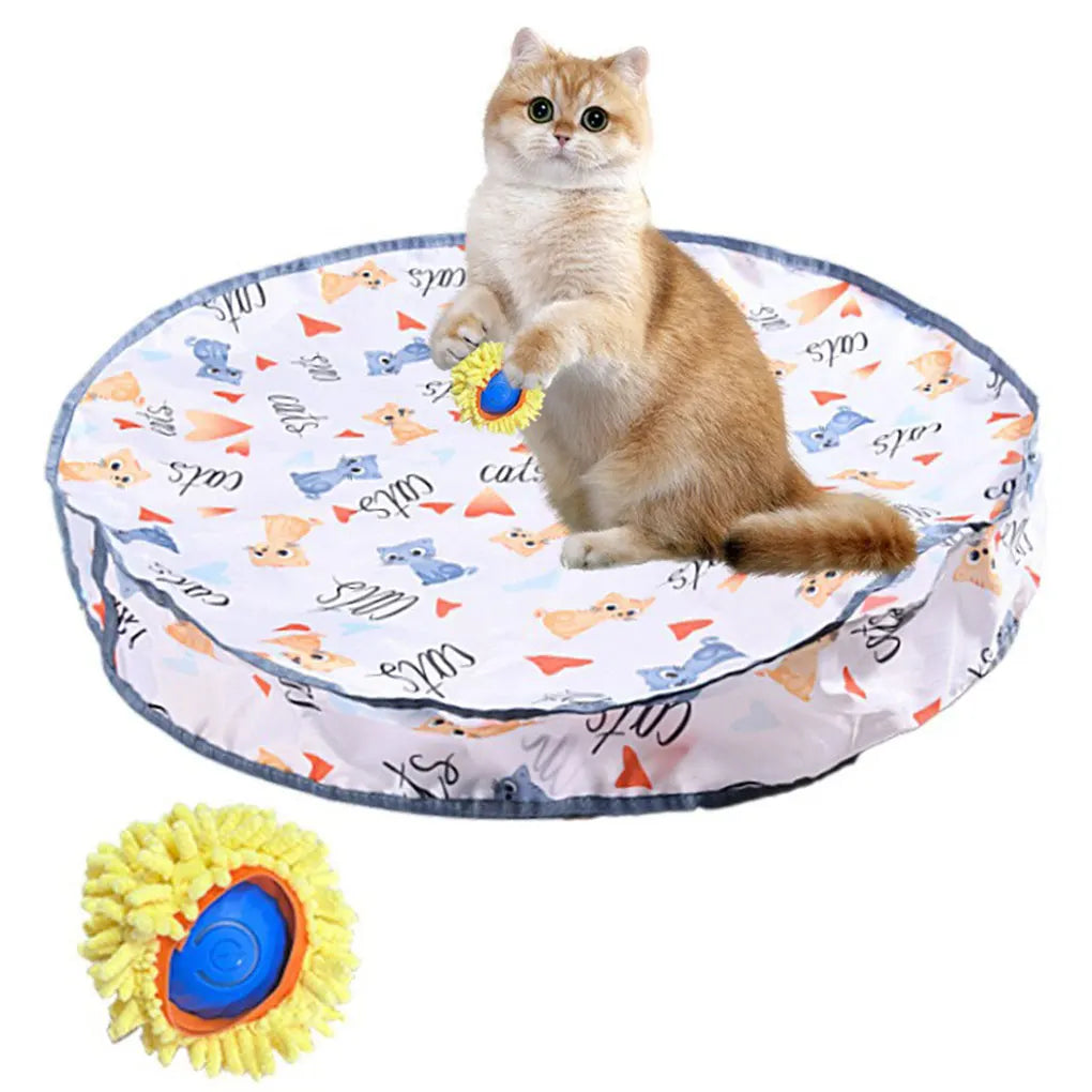 2-in-1 Cat Tunnel Toy with Capture Balls — Interactive Agility Training Tunnel for Cats