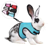 Breathable Vest Harness & Leash Set — For Rabbits, Ferrets & Guinea Pigs
