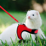 Mesh Breathable Harness & Leash Set — Summer Walking Gear for Rabbits & Ferrets