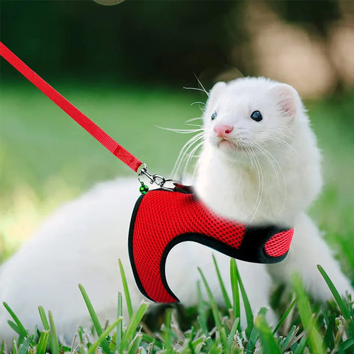 Mesh Breathable Harness & Leash Set — Summer Walking Gear for Rabbits & Ferrets