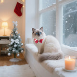 Leather Christmas Bowtie 30-Pack (Exquisite Small Pet Style)