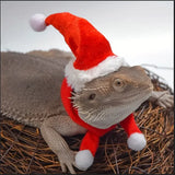 Lizard Christmas Hat & Scarf Set — Festive Costume for Bearded Dragons