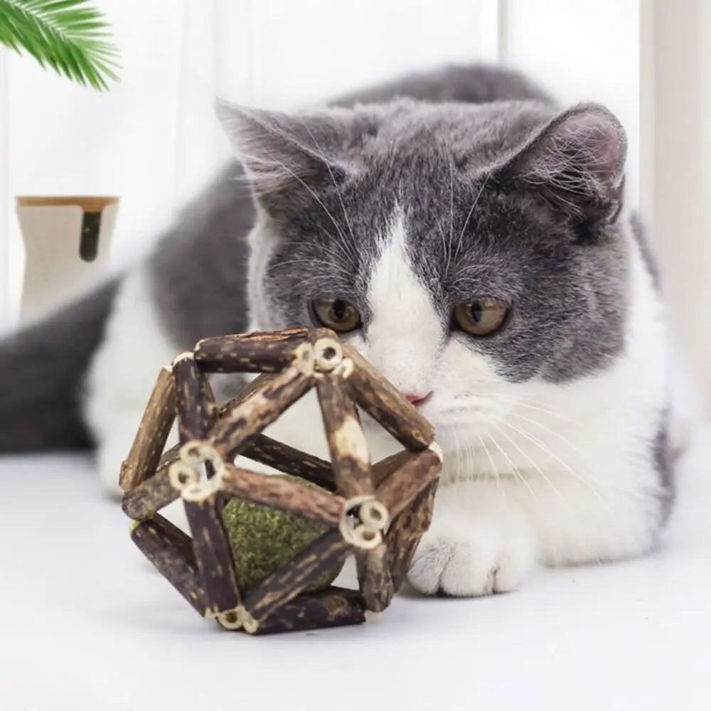 Catnip Bell Ball Cat Toy — Jingle Toy for Solo Play & Teeth Grinding