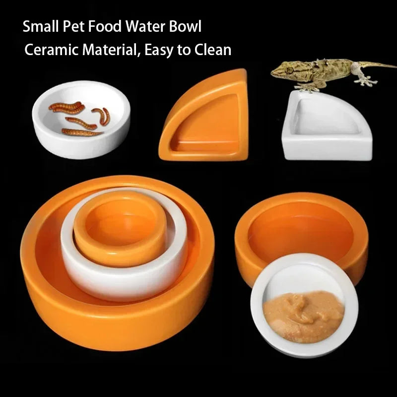 Ceramic Reptile Feeder Bowl — Decorative Food & Water Dish