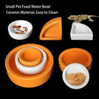 Ceramic Reptile Feeder Bowl — Decorative Food & Water Dish