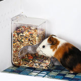 Clear Hanging Food Dispenser for Hamsters & Guinea Pigs