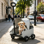 Sun Shade Pet Carriage Stroller for Small Pets — Lightweight Spacious Outdoor Carrier