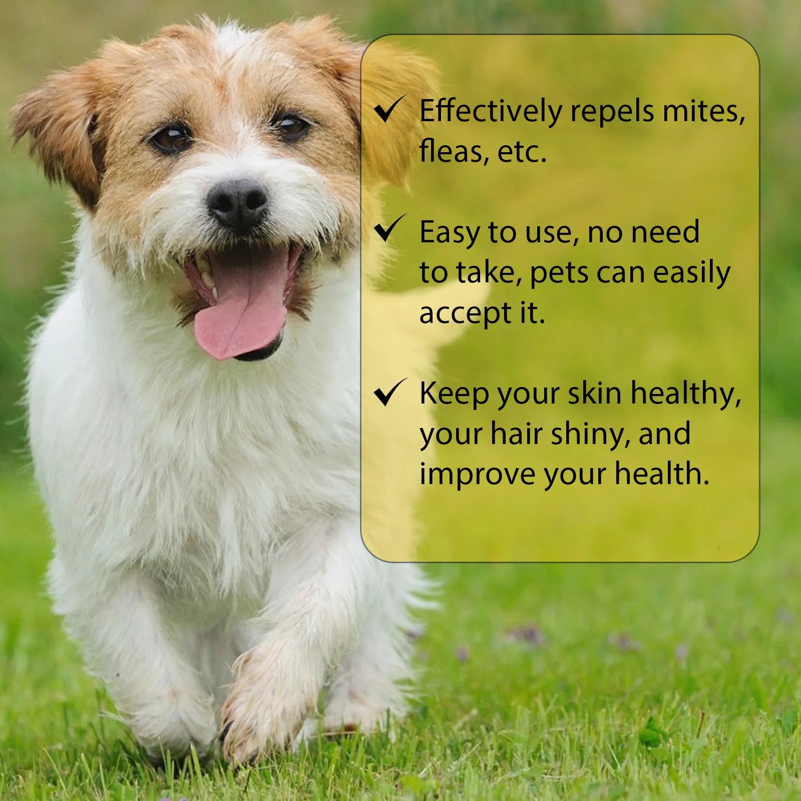 Anti-Flea Treatment Drops for Cats & Dogs (Tick & Lice Remover, Multi-Size)