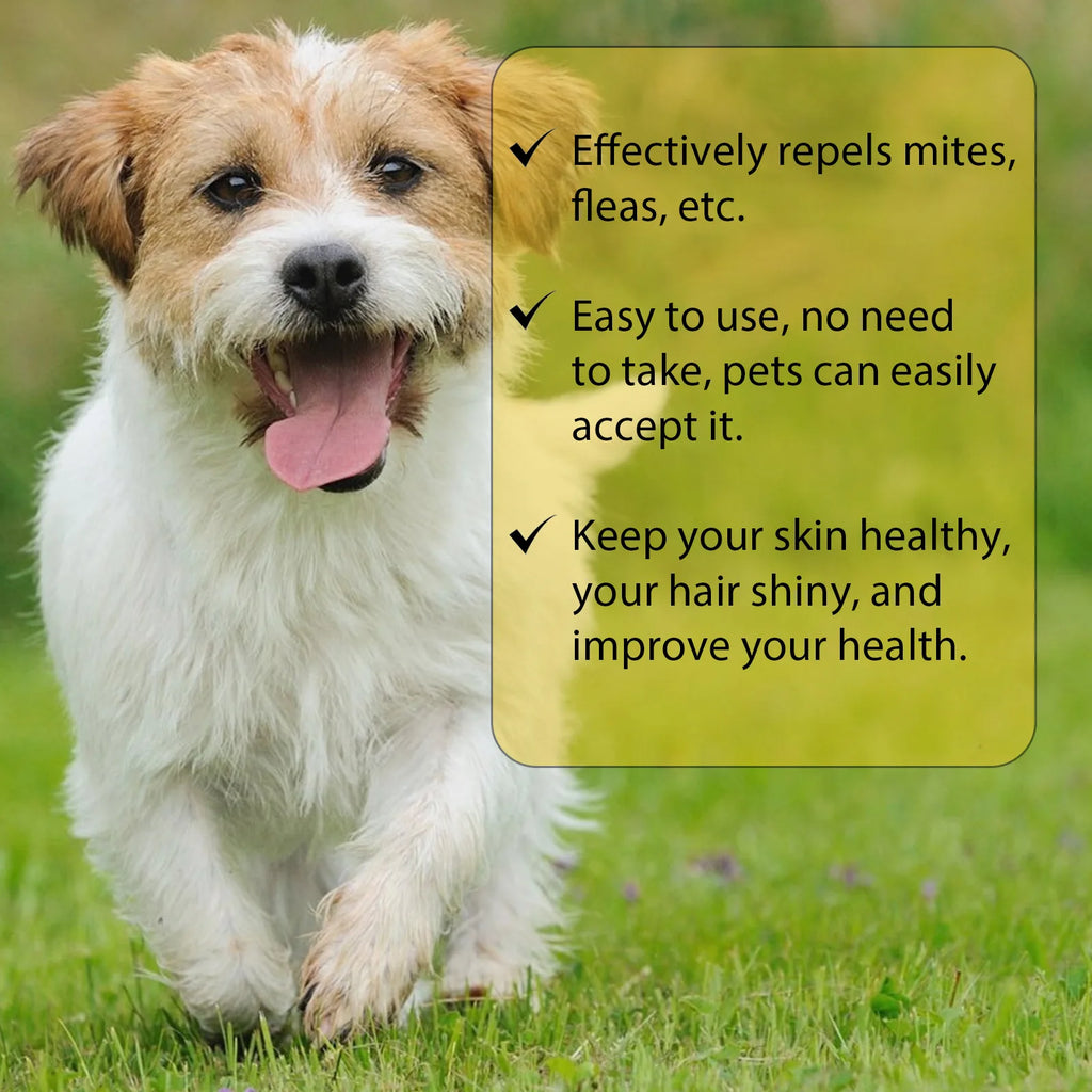 Pet Flea & Lice Removal Drops (Anti-Itch, External, Cat & Dog)